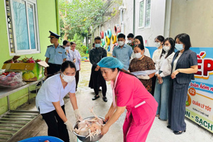 V/v tăng cường bảo đảm an toàn thực phẩm trong cơ sở giáo dục theo Chỉ thị số 33/CT-TTg ngày 14/8/2026 của Thủ tướng Chính phủ